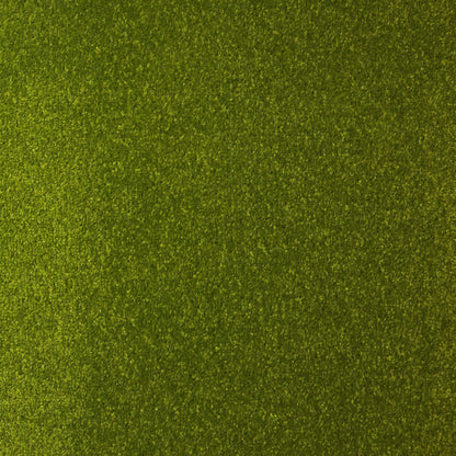 Mocheta Motion Verde